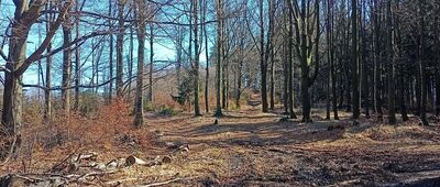 Rozdroże pod Moszną