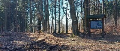 Rozdroże pod Moszną