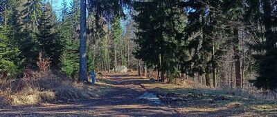 Kompleks Osówka, kasyno