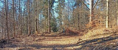 Kompleks Osówka, kasyno