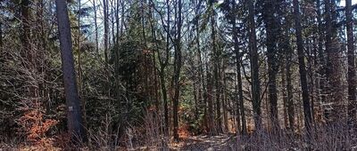 Kompleks Osówka, kasyno