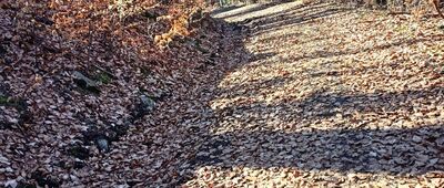 Kompleks Soboń ↔ Kompleks Osówka, kasyno