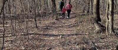 Radostowa, rozejście szlaków ↔ Radostowa