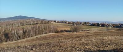 Wymyślona
