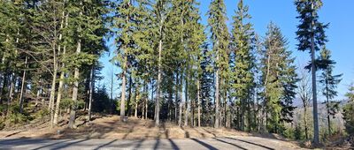 Przełęcz pod Konikiem