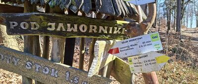 Przełęcz Jaworowa, wiata