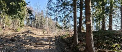 Przełęcz Jaworowa, skrzyżowanie