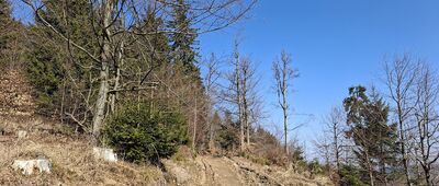 Pod Jawornikiem Wielkim ↔ Przełęcz Jaworowa, skrzyżowanie