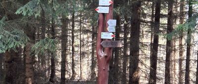 Pod Jawornikiem Wielkim