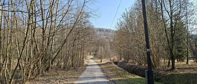 Przełęcz Jaworowa, wiata ↔ Orłowiec