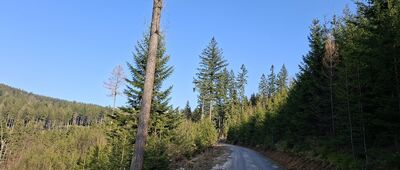 Orłowiec ↔ Przełęcz pod Konikiem