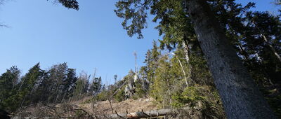 Skalne Grzyby, parking