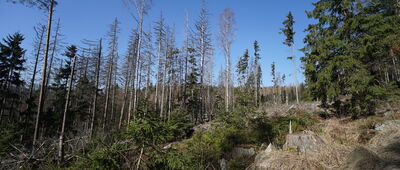 Batorów, granica parku narodowego ↔ Batorówek