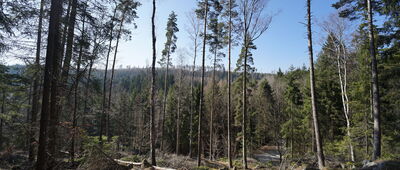 Batorów, granica parku narodowego ↔ Batorówek