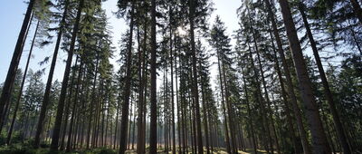 Brzytwa ↔ Droga Hugona, II