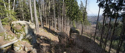 Brzytwa, odejście na punkt widokowy ↔ Orlik, punkt widokowy