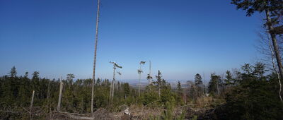 Brzytwa, odejście na punkt widokowy ↔ Borowa Kopa, odejście szlaku