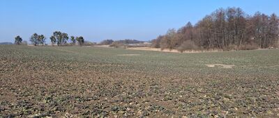 Grzybno ↔ Kruszyny Szlacheckie