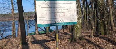 Niskie Brodno ↔ Skrzyżowanie szlaków