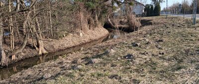 Brodnica ↔ Niskie Brodno