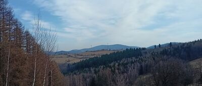 Przełęcz Niedźwiedzia ↔ Zagórze Śląskie, ul. Główna