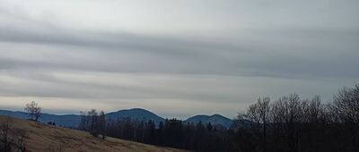 Przełęcz Niedźwiedzia ↔ Zagórze Śląskie, ul. Główna