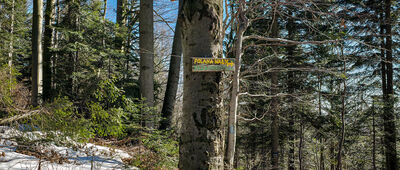 Pod Krzystonowem [Skrzyżowanie szlaków pod Krzysztonowem]