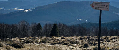 Polana Stumorgowa [Tatry z Polany Stumorgowej pod Mogielicą]