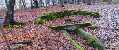 Magura ↔ Pod Trzema Kopcami (Pomierki) [Punkt obserwacyjny Regionalnego Monitoringu Wód Podziemnych]