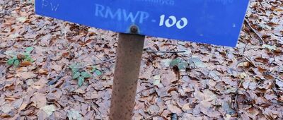 Magura ↔ Pod Trzema Kopcami (Pomierki) [Tablica informacyjna RMWP]