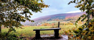 Przełęcz pod Mareszką ↔ Bartne, dojście do bacówki