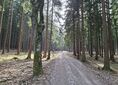 Przełęcz pod Chłopkiem ↔ Kąty Bystrzyckie