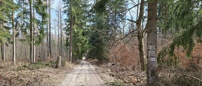 Przełęcz pod Chłopkiem ↔ Kąty Bystrzyckie