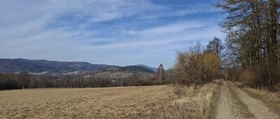 Lądek Zdrój ↔ Farna Lgota