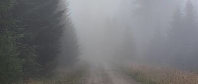 Wysowa, odejście szlaku niebieskiego ↔ Pod Obyczem