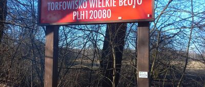 Sitowiec ↔ Szarów, ul. Kolejowa [Wejście do wielkiego błota]