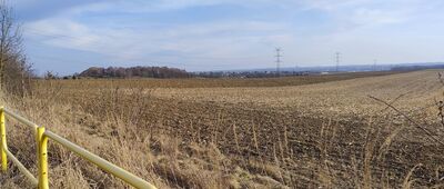 Radzionków, Śląski Ogród Botaniczny ↔ Kopiec Wyzwolenia [Widok na Kopiec Wyzwolenia / marzec 2026]