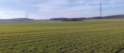 Kozłowa Góra, ul. Powstańców ↔ Piekary Śląskie, ul. Jana Pawła II [/ marzec 2026]