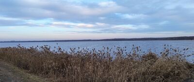 Kozłowa Góra, Dioblina [Zbiornik Kozłowa Góra / marzec 2026]