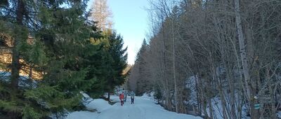 Jaszcze ↔ Jaszcze Małe