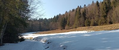 Jaszcze Małe ↔ Polana Łonna