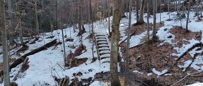 Pomnik bombowca Liberator