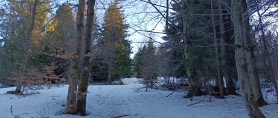 Pomnik bombowca Liberator ↔ Magurki