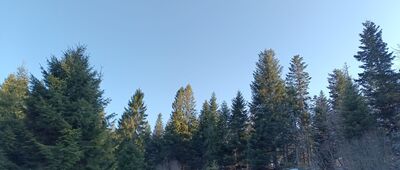 Pomnik bombowca Liberator ↔ Magurki