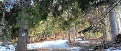 Pomnik bombowca Liberator ↔ Magurki