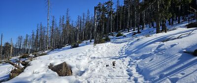 Nad Halą Cukiernica ↔ Pod Lipowskim Wierchem