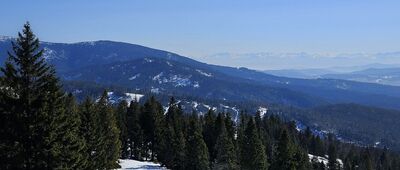 Pod Lipowskim Wierchem ↔ Schronisko PTTK Hala Lipowska