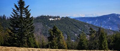 Kręcichłosty ↔ Hala Redykalna