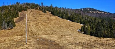 Kręcichłosty ↔ Hala Redykalna