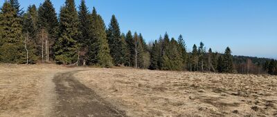 Myconiówka ↔ Łopień